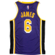 Camiseta Lakers Lebron James 2023