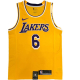 Camiseta Lakers Lebron James 2023