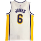 Camiseta Lakers Lebron James 2023