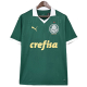 Camiseta Palmeiras 24/25