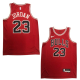 Camiseta Michael Jordan (Chicago Bulls)