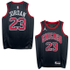 Camiseta Michael Jordan (Chicago Bulls)
