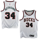 Camiseta Giannis Antetokounmpo (Milwaukee Bucks)