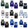 Camiseta Giannis Antetokounmpo (Milwaukee Bucks)