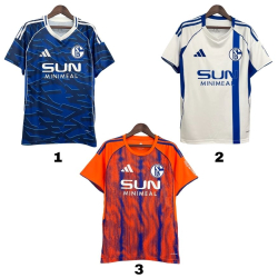 Camiseta Schalke 25/26