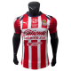 Camiseta Player Chivas 25/26