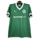 Camiseta Palmeiras 25/26